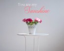 You Are My Sunshine Quotes Wall Decal Love Vinyl Art Stickers
